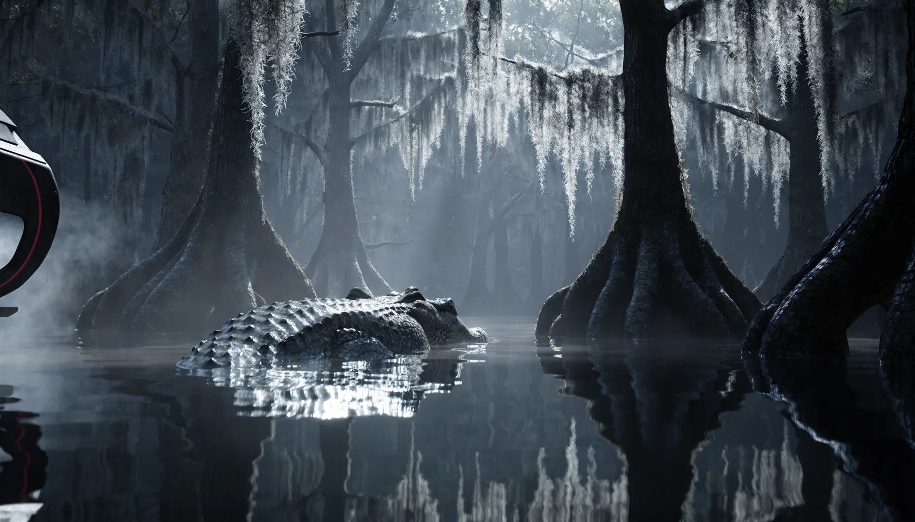 Alligator in the Everglades