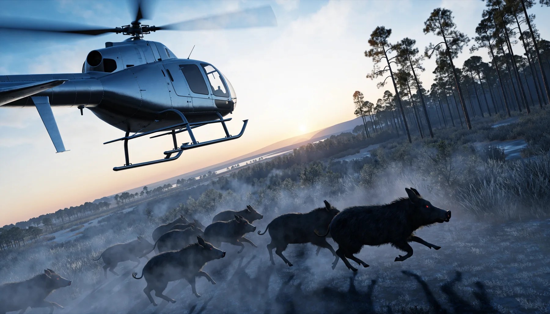 Helicopter hog hunt